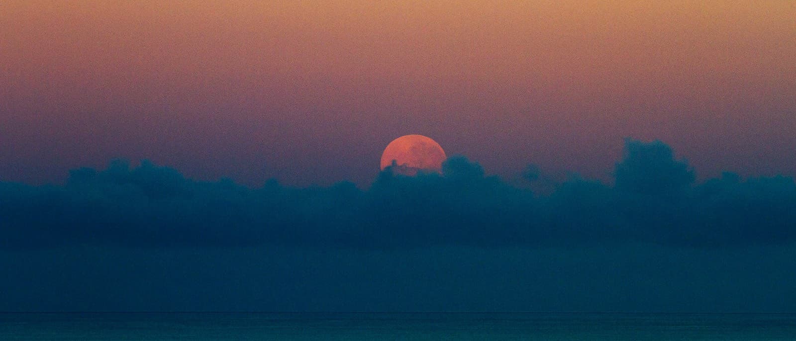 AI tools and resources